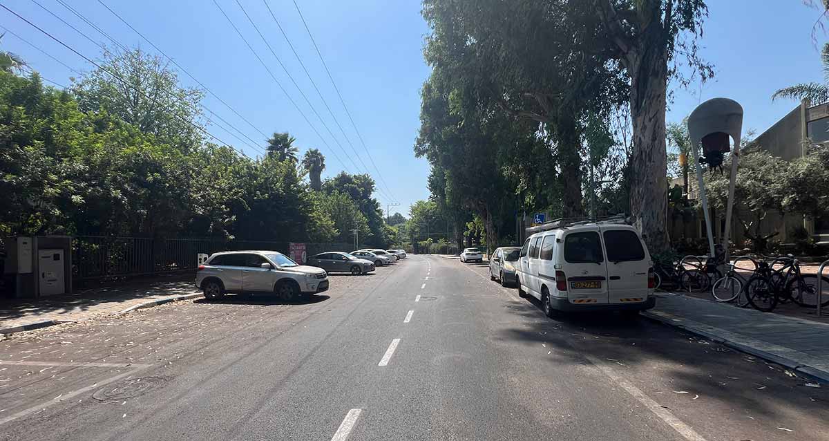רחוב עם עצים גדולים בצד ימין, מכוניות חונות לאורך המדרכה בצד ימין, ובצד שמאל מכוניות חונות בניצב למדרכה