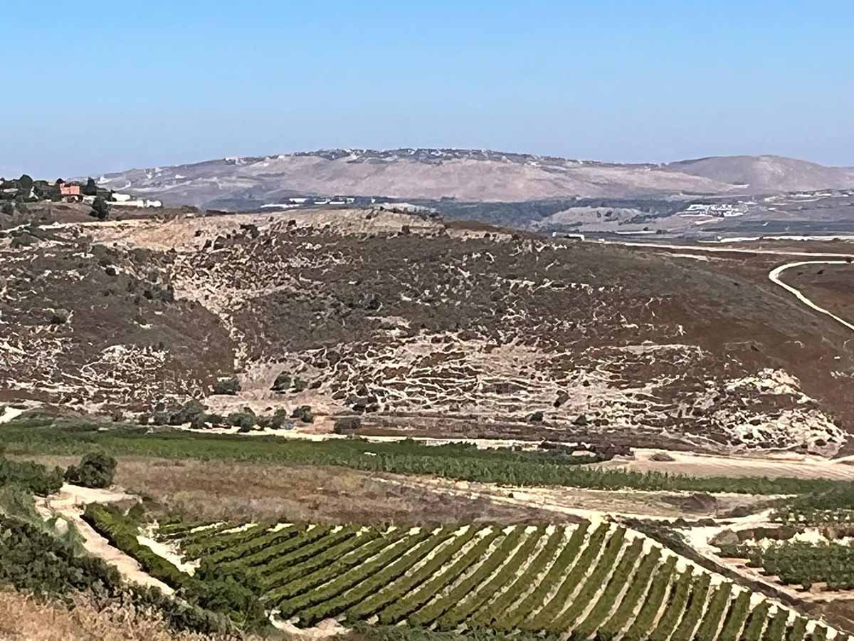 כרמים של יקב רקנאטי בתחתית התמונה. במרכז גבעה עם חורש ירוק, ובחלק העליון הרחוק שתי גבעות עם בתים בראש הגבעה שבמרכז התמונה