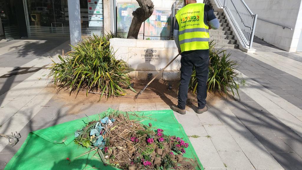 עובד עיריית גבעתיים עם ווסט צהוב עליו כתוב גבעתיים ומכנסיים כחולים מנקש עשבים. מצולם עם הגב ומאחוריו יש ערוגת פרחים