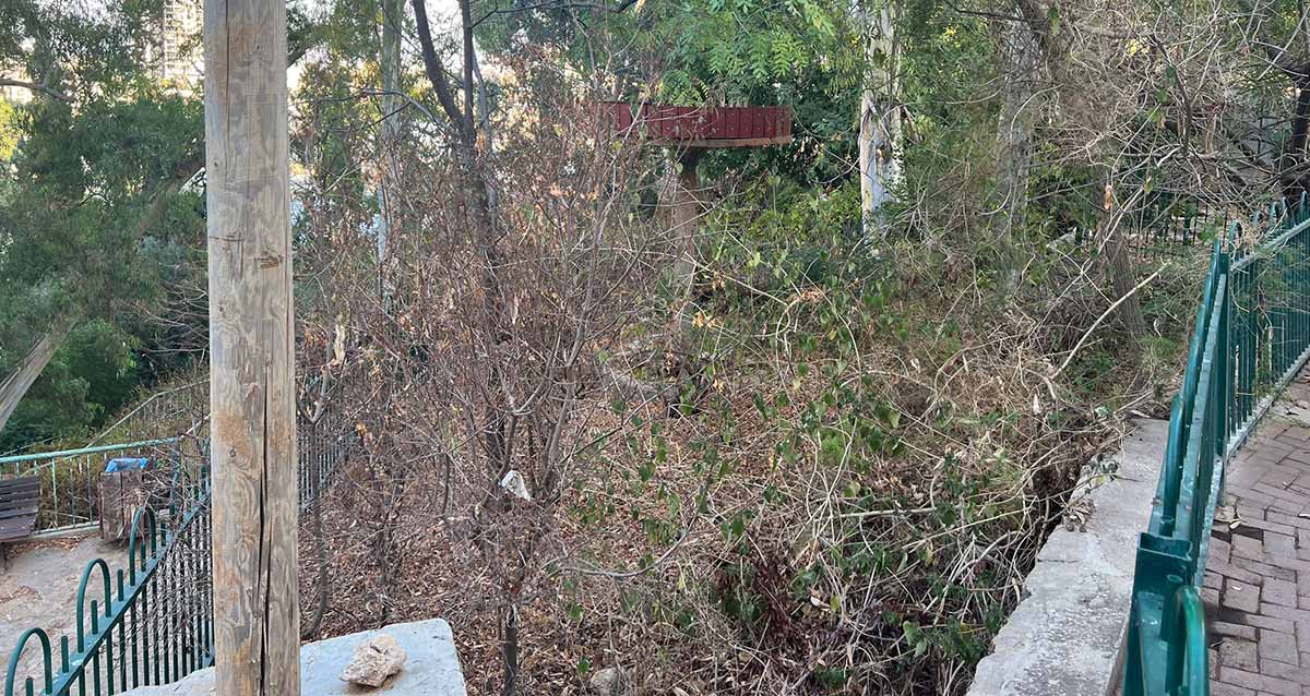 גן הקופים, מוזנח, מלוכלך ובלי קופים. צמחיה יבשה ממלאת את הגן.