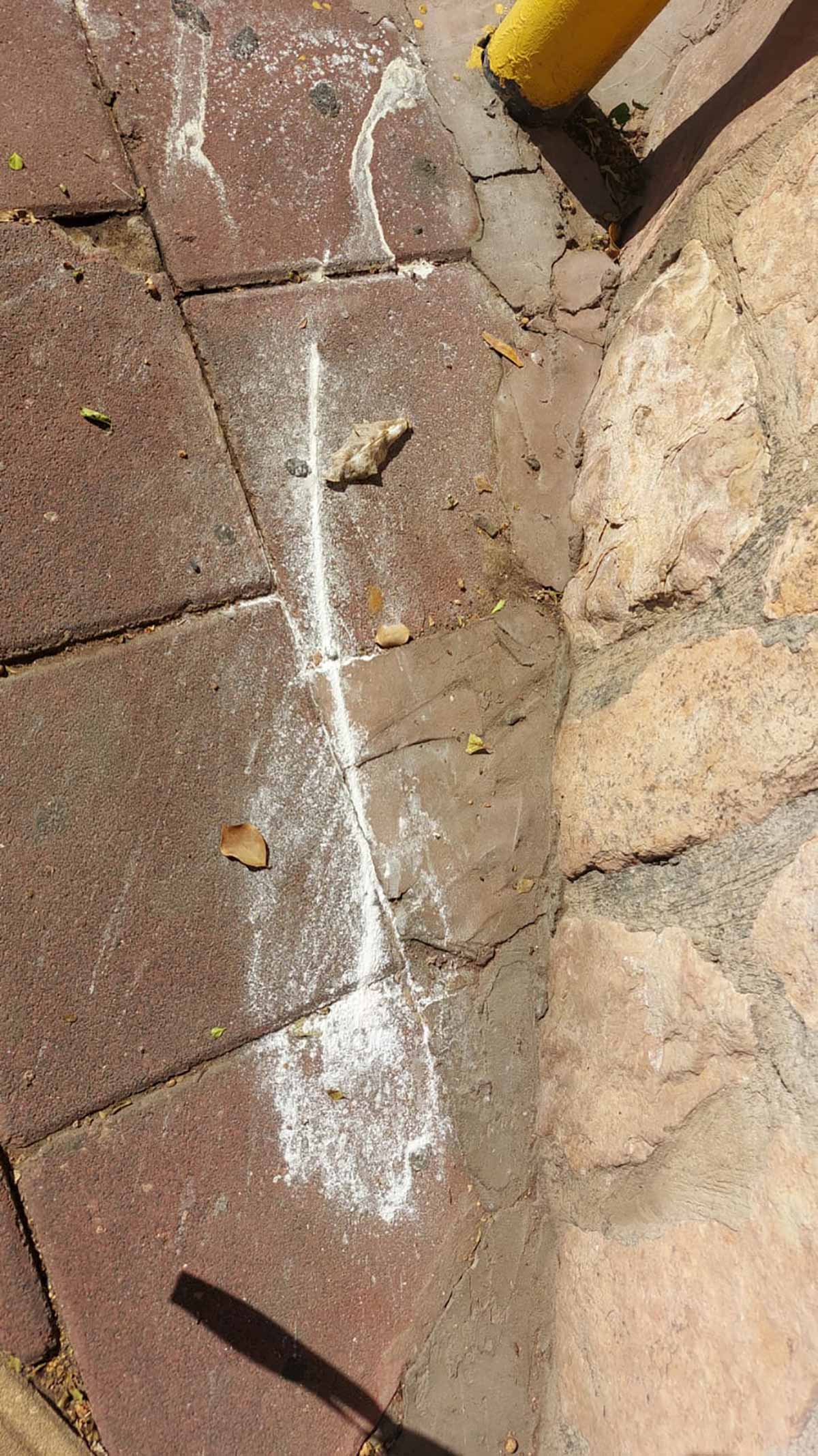 חשד לפיזור אבקה רעילה בפארקים ברמת גן. אבקה לבנה על אבני המדרכה.