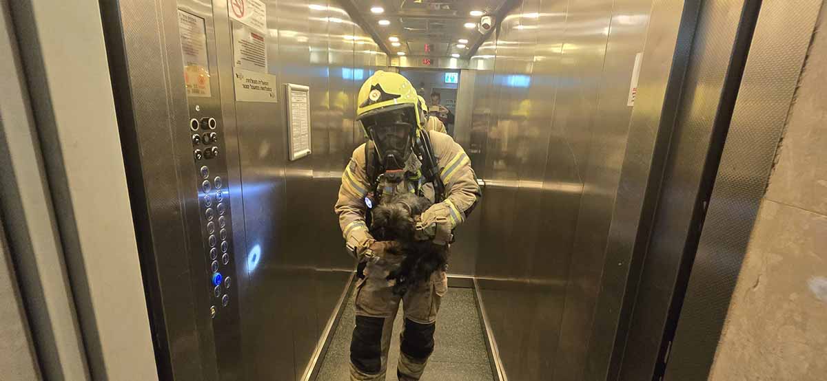 כלב חולץ במצב קשה מדירה בוערת ברמת גן. לוחם אש יוצא ממעלית עם הכלב בידיו.