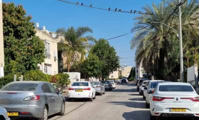 רחוב התפוצות ברמת עמידר. רחוב חד סיטרי, מכוניות חונות בשני הצדדים. בניינים של שתיים ושלוש קומות בצידי הרחוב, ועצים גבוהים, כולל דקלים.