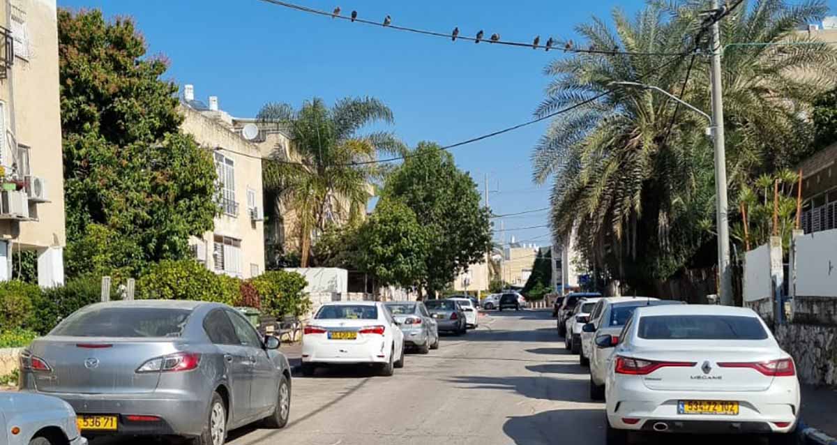 רחוב התפוצות ברמת עמידר. רחוב חד סטרי, מכוניות חונות בשני הצדדים. בניינים של שתיים ושלוש קומות בצידי הרחוב, ועצים גבוהים, כולל דקלים.