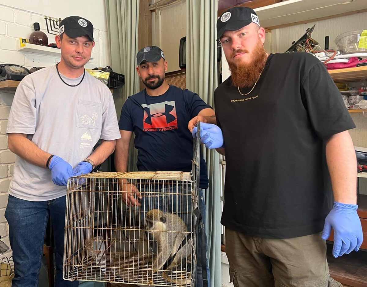 קוף בדירה במרכז רמת גן. שלושה שוטרים אוחזים את הכלוב ובתוכו הקוף. תמונה בתוך הדירה.