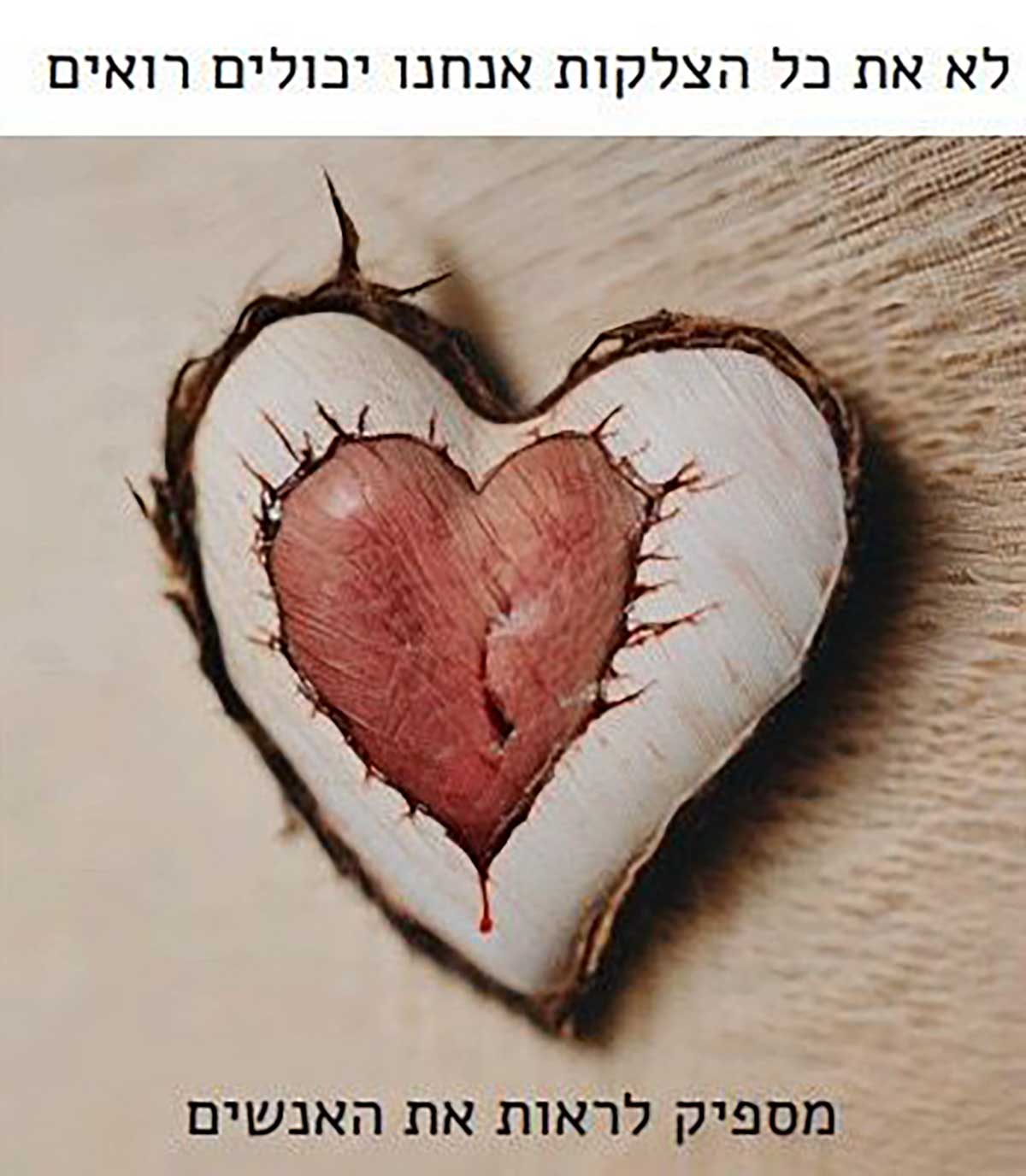 תלמידות ותלמידי גבעתיים נלחמים בבריונות ברשת