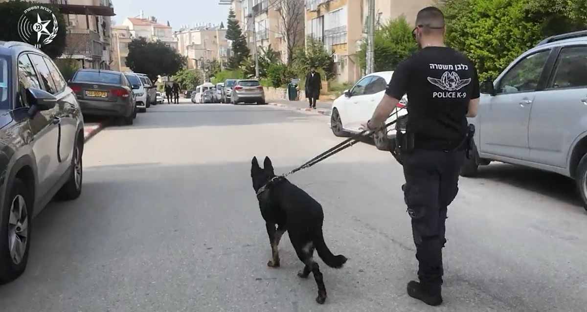 היערכות מוגברת לפורים ברמת גן. שוטר עם כלב ברחוב. מכוניות חונות בשני הצדדים של הרחוב.