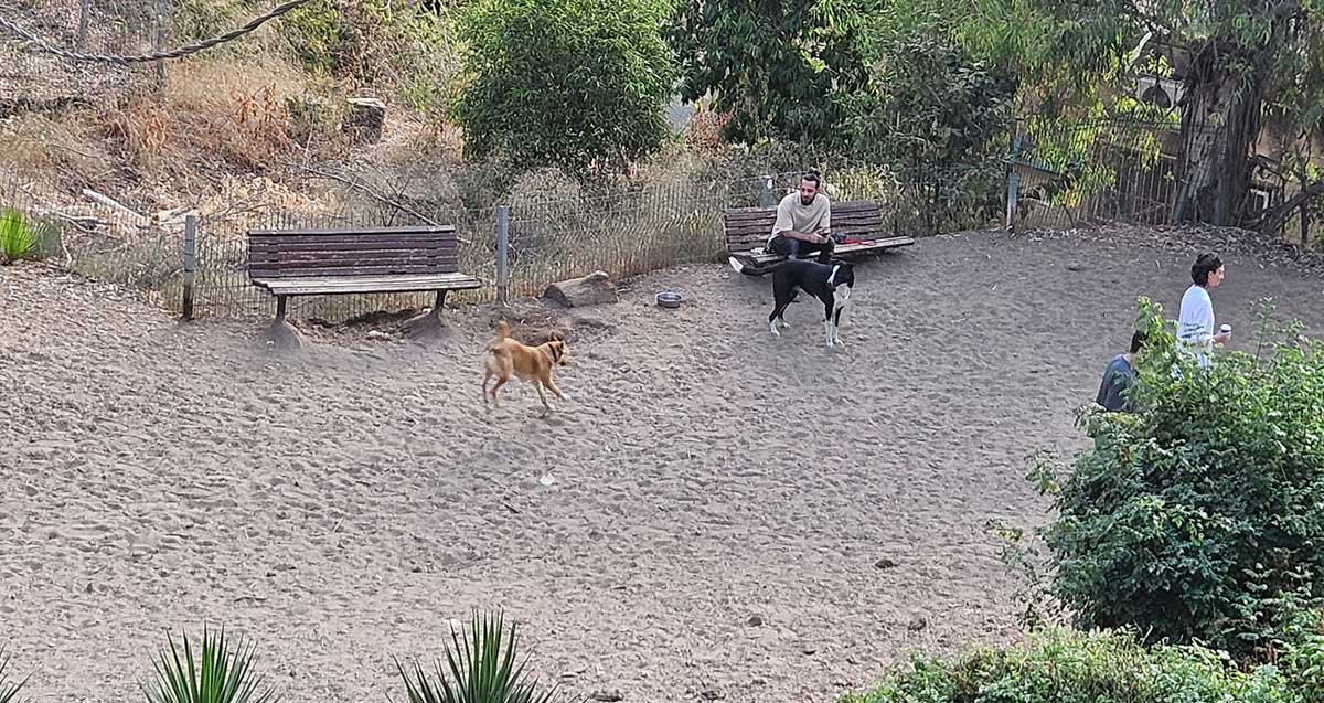 עמק הכלבים בגן הקופים ברמת גן. שני ספסלי עץ בתוך גינת הכלבים. על ספסל יושב איש ולידו כלב שחור. כלב חום רץ בגינה.