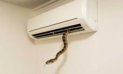 עונת הנחשים. איור של נחש יוצא מתוך מזגן עילי בחדר.