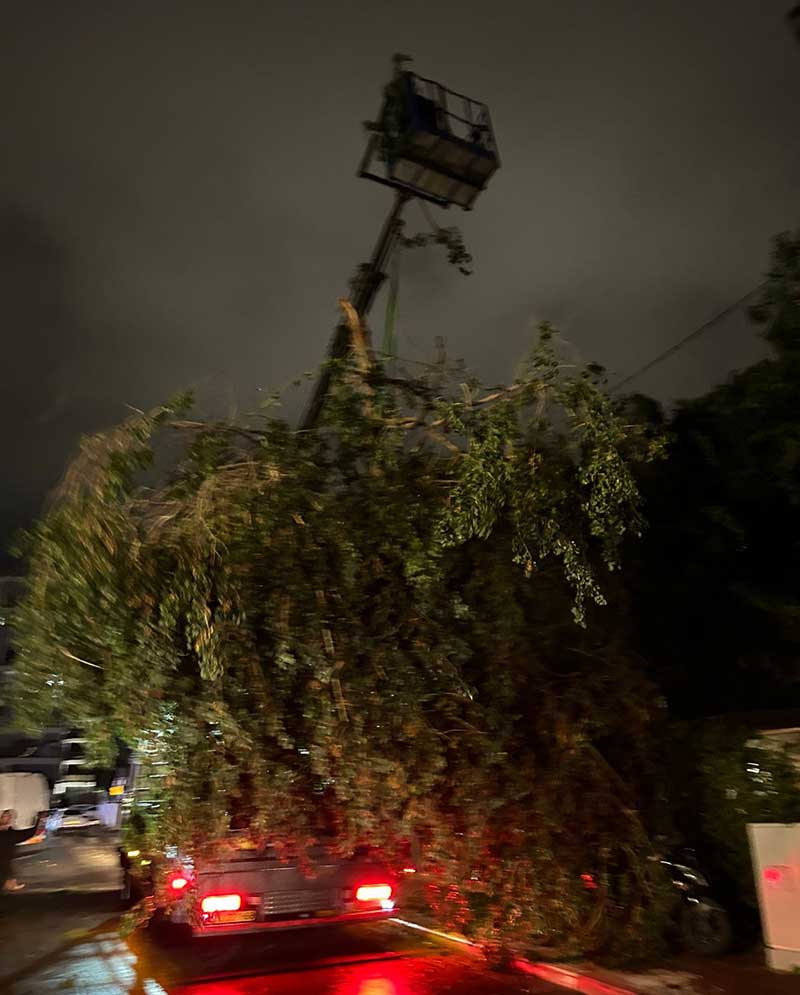 טרקטורון מפנה ענפי עצים שנתלשו בסופה
