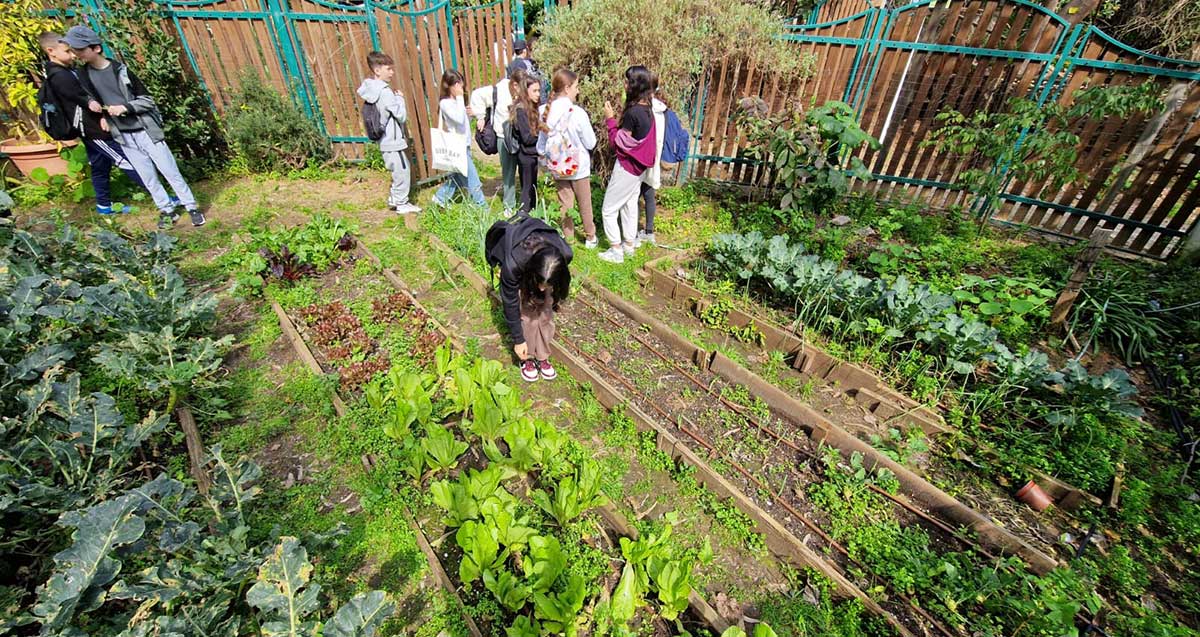 ט"ו בשבט בגבעתיים. ילדים בגן ירק.