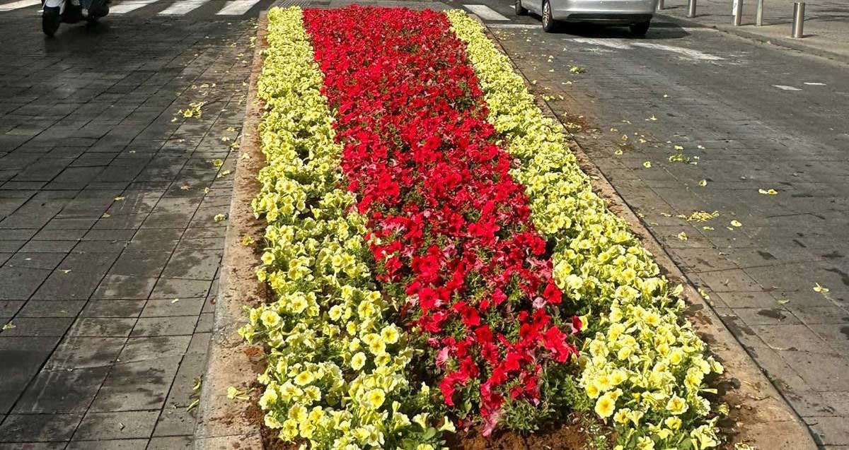 שתילות ונטיעות ברמת גן לחג הפסח. פרחים באי תנועה.