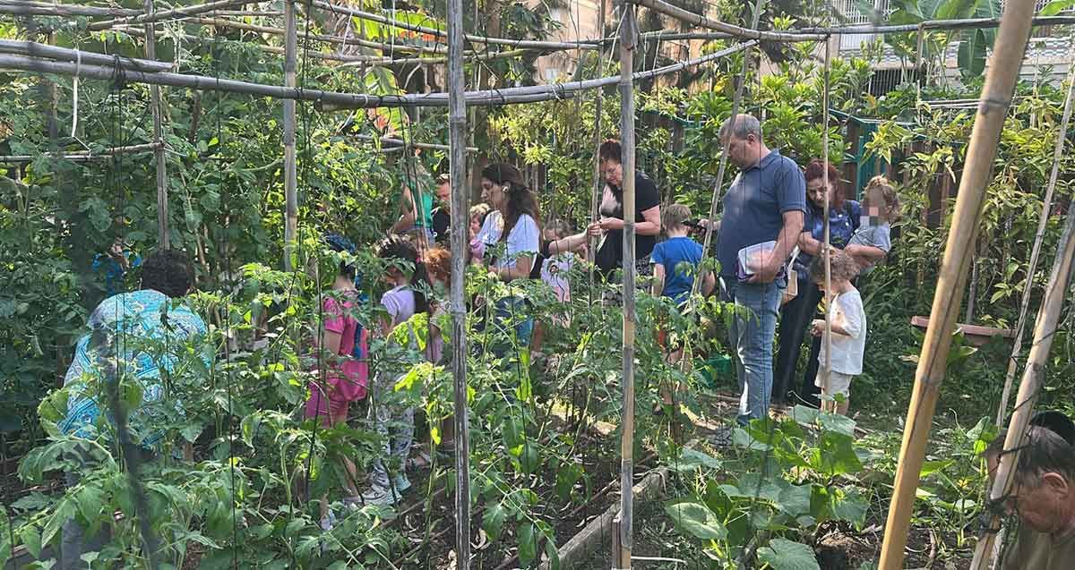 אירועי קיימות בגבעתיים. ילדים והורים בגינות קהילתיות ירוקות עם גידולי צמחים
